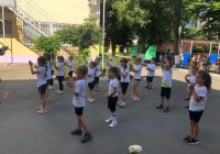 img (12)